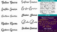 1157+ Script Font Pack Zip Best for Showcase