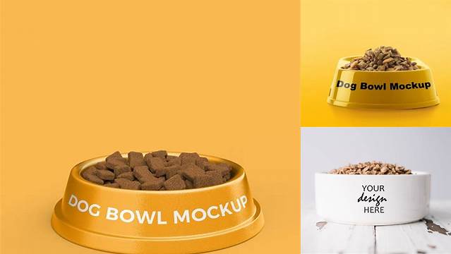 1328+ Dog Bowl Mockup Include TIFF