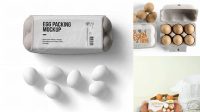 1563+ Egg Box Mockup Best for Showcase