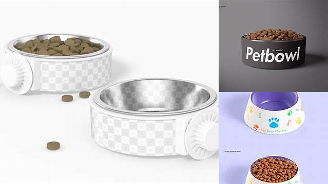 2228+ Pet Bowl Mockup Hight Resolution