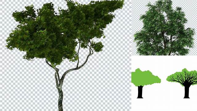 3388+ Mockup Tree Easy Editable