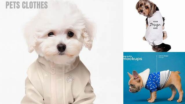 3995+ Dog Clothes Mockup High Resolution