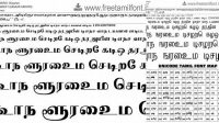 4239+ Tamil Ttf Fonts Zip File Download For Free Download