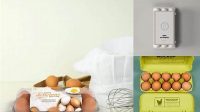 4791+ Egg Packaging Mockup Download Free