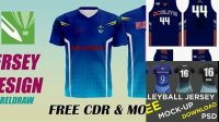 5376+ Template Jersey Cdr PSD Free Download