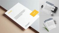 6204+ Business Card And Letterhead Mockup Psd Free Download For Free Download