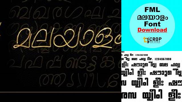 7065+ Malayalam Fml Fonts Pack Premium PSD Freebie