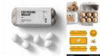 7092+ Egg Carton Design Template Mockup PSD Free Download