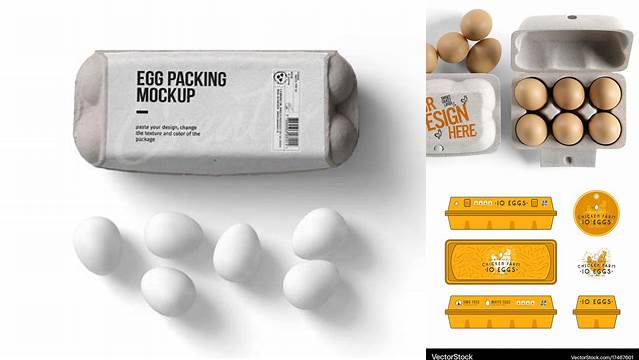 7092+ Egg Carton Design Template Mockup PSD Free Download