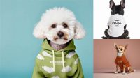 7894+ Dog Clothes Mockup Free PSD for Creative Projects