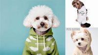 8292+ Dog Clothes Mockup Free Smart PNG Image