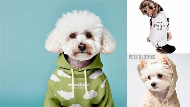 8292+ Dog Clothes Mockup Free Smart PNG Image