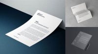 9200+ Letterhead Mockup Free Download Free Mockup PSD