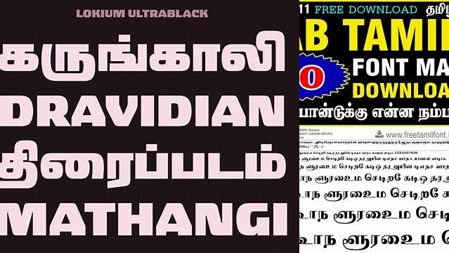 9754+ Tamil Fonts Collection Zip For Android For Free Download