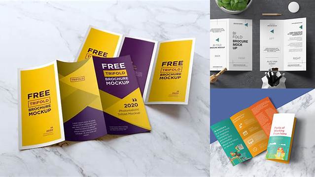 9947+ Mockup Pamflet For Free Download